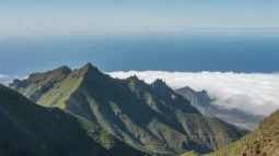 Anaga Landpark, Tenerife: Laurbærskove, udsigtspunkter og den bedste kørerute (2026)