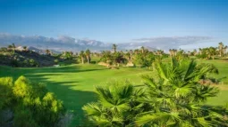 Golfparadis: De fineste golfklubber på Tenerife: Tee Time Bliss