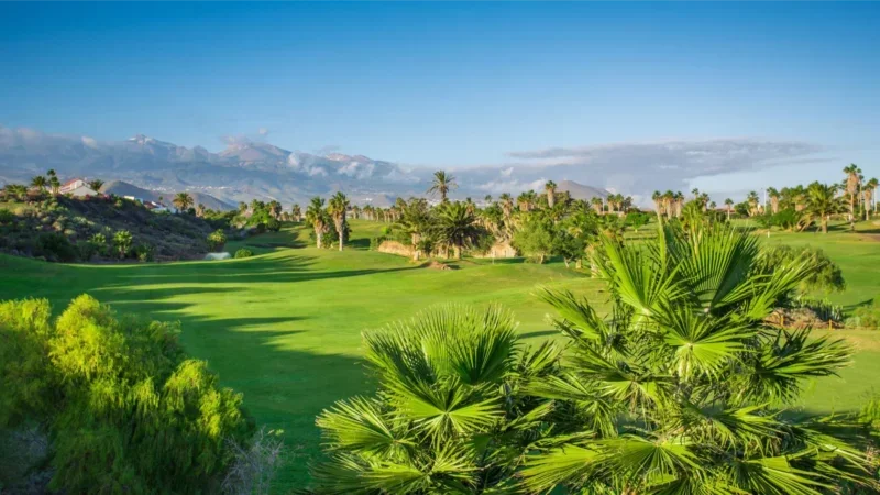 Golfparadis: De fineste golfklubber på Tenerife: Tee Time Bliss
