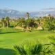 Golfparadis: De fineste golfklubber på Tenerife: Tee Time Bliss