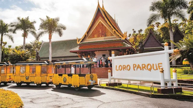 Loro Parque Tenerife – Oplev hjertet af øens naturlige vidunder