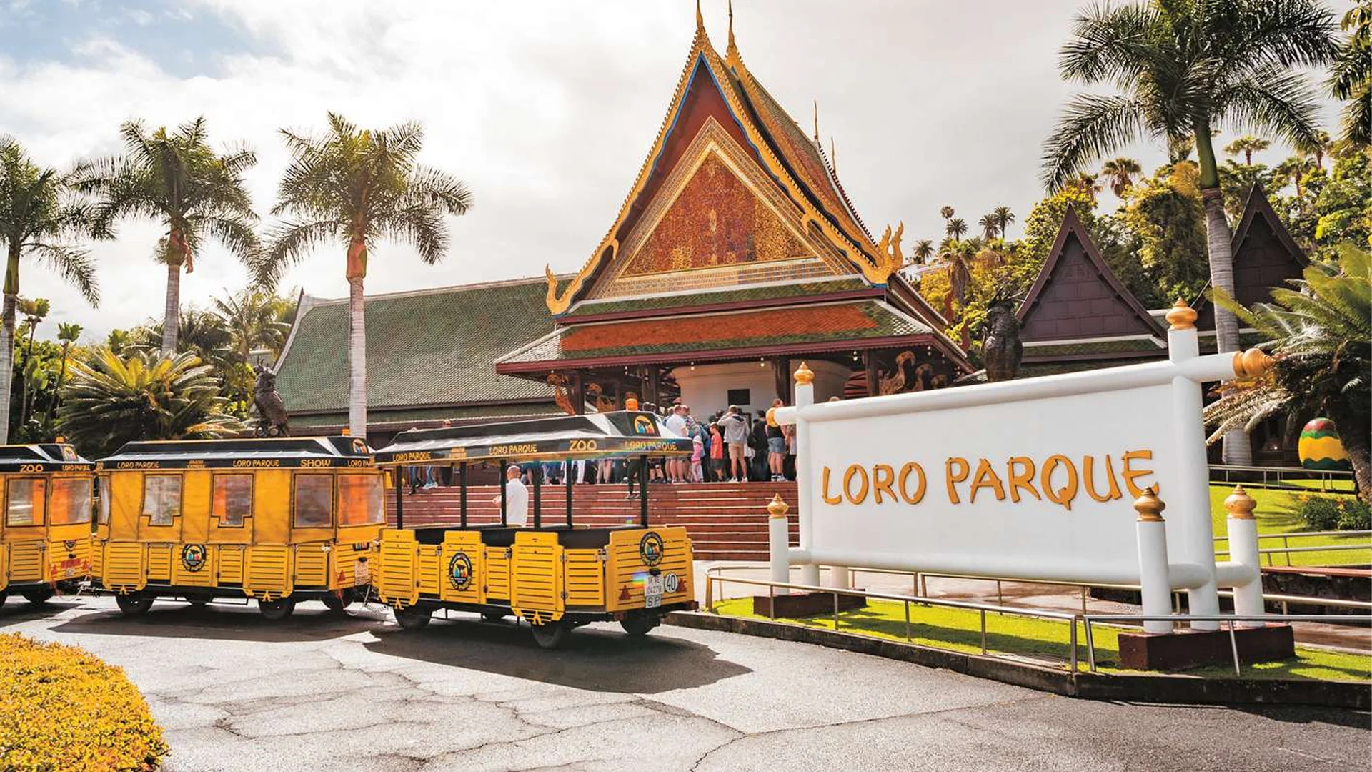 Loro Parque Tenerife – Oplev hjertet af øens naturlige vidunder