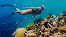 Svømning med strømmen: Et dybt dyk ned i Tenerifes snorkelspots