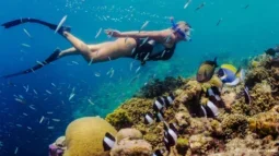 Svømning med strømmen: Et dybt dyk ned i Tenerifes snorkelspots