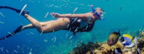 Svømning med strømmen: Et dybt dyk ned i Tenerifes snorkelspots