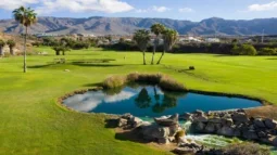 Golfbaner på Tenerife: En Hole-in-One-guide til golfentusiaster